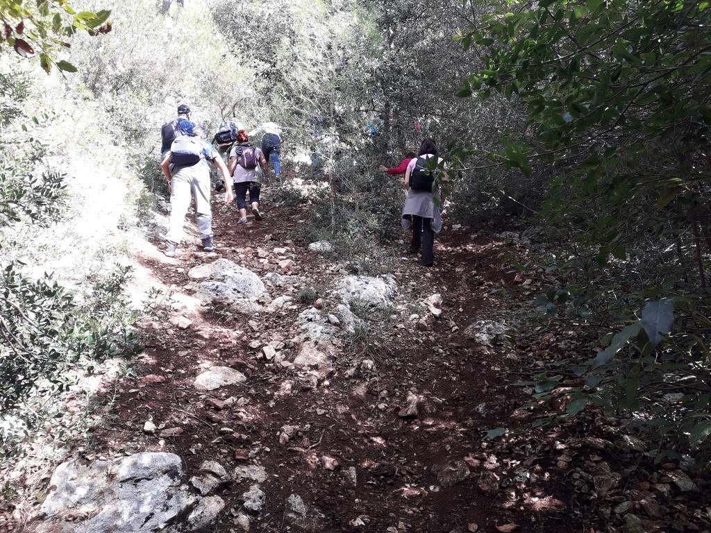 Trulli Convertini Locorotondo Εξωτερικό φωτογραφία